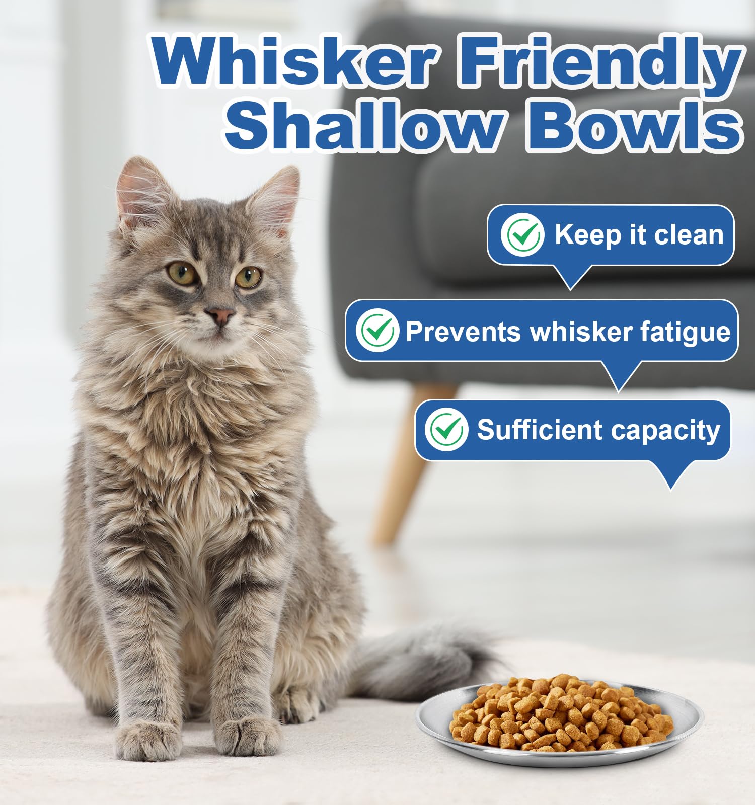 Supet stylish bowls that blend with home décor while feeding pets.