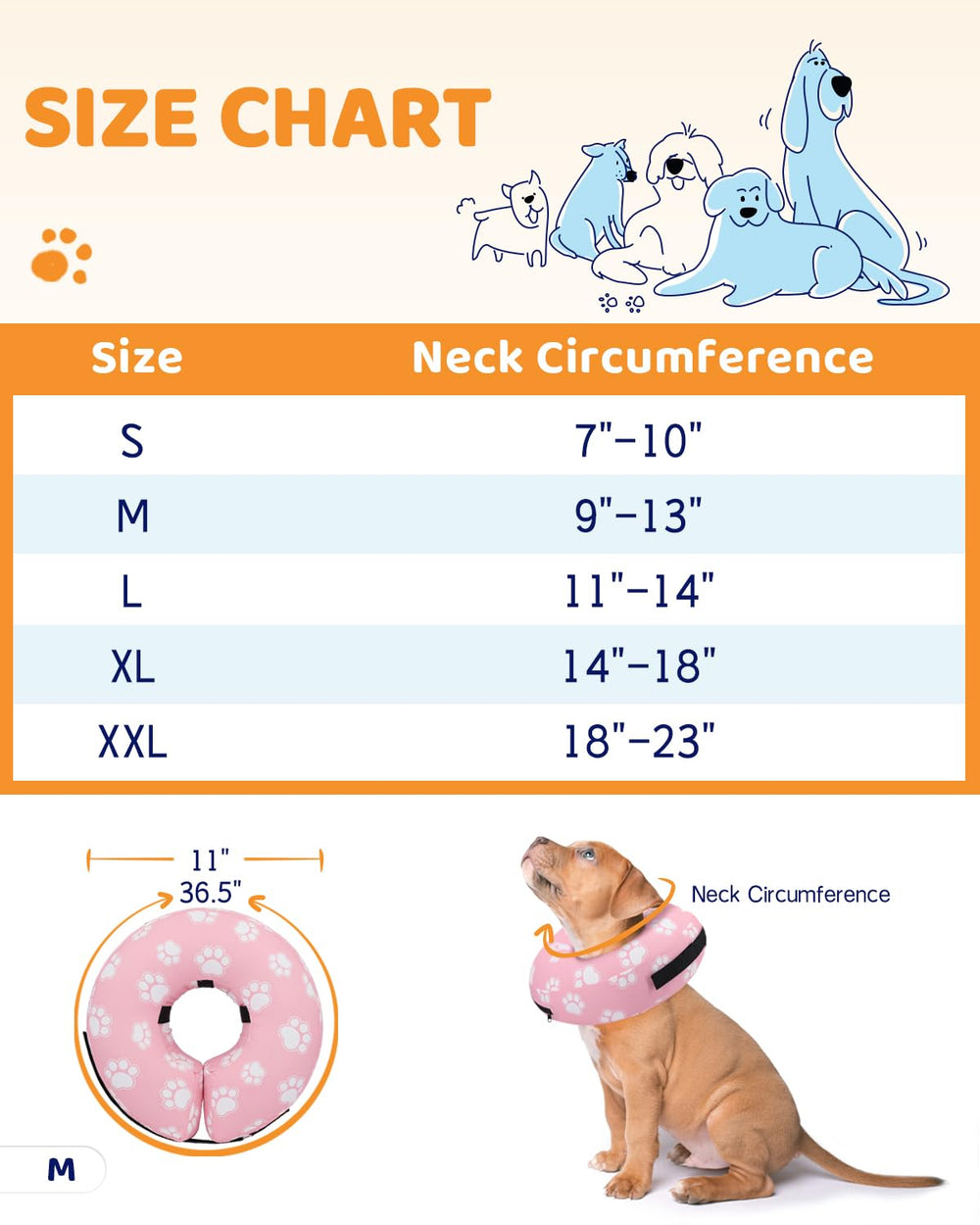 Supet donut design lets dogs observe surroundings without heavy obstruction.