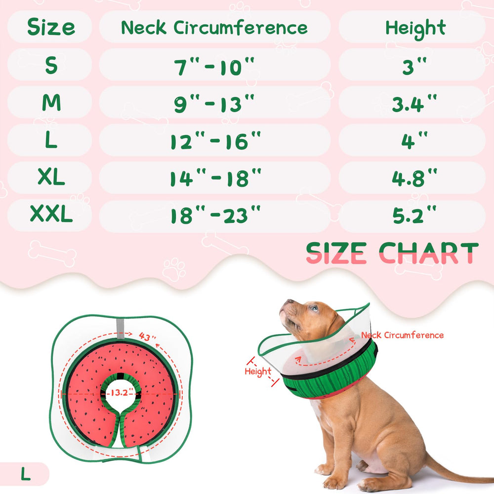 Versatile fit for small, medium, and large dogs with secure closure