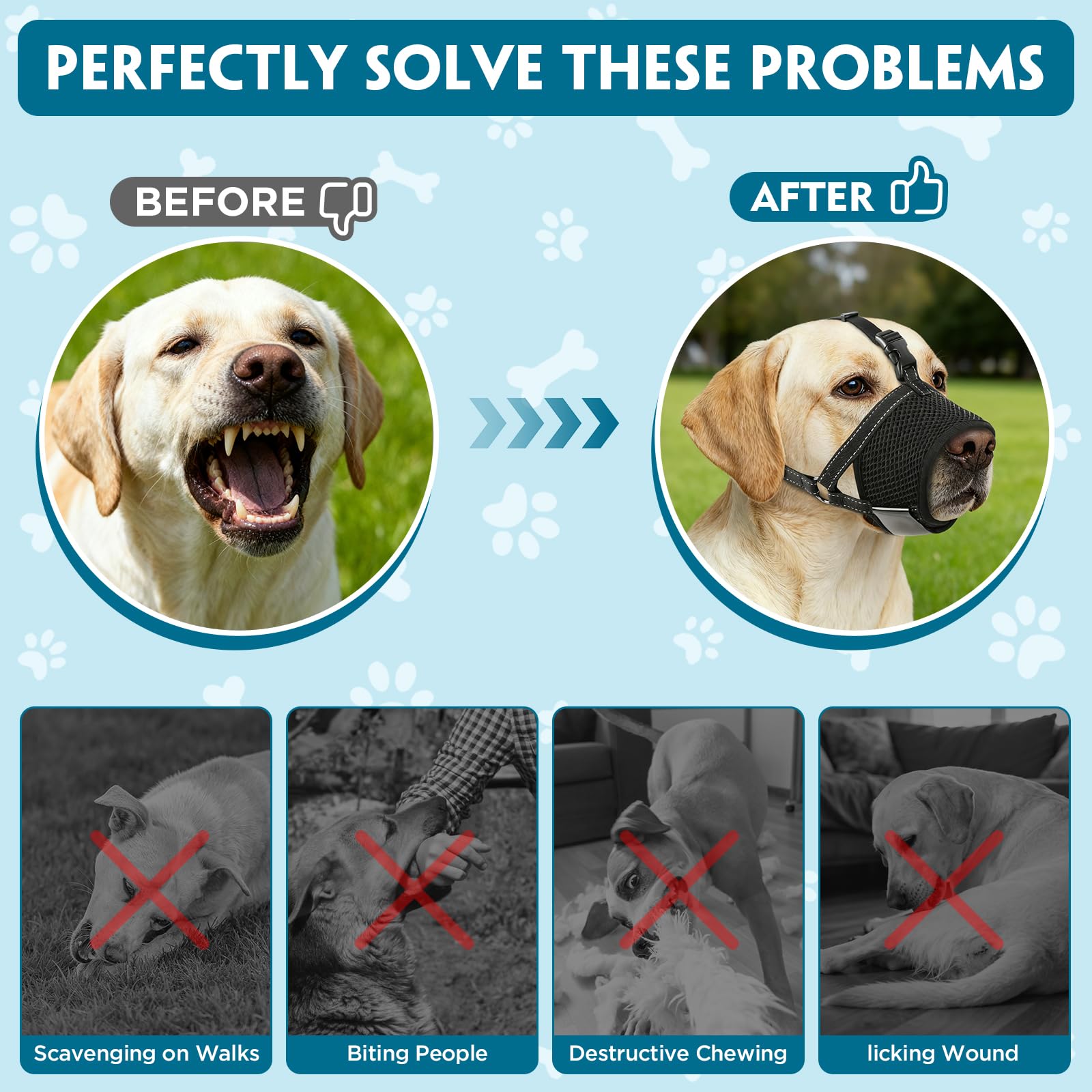 Grooming with SuplutuX muzzle facilitating safe nail trimming