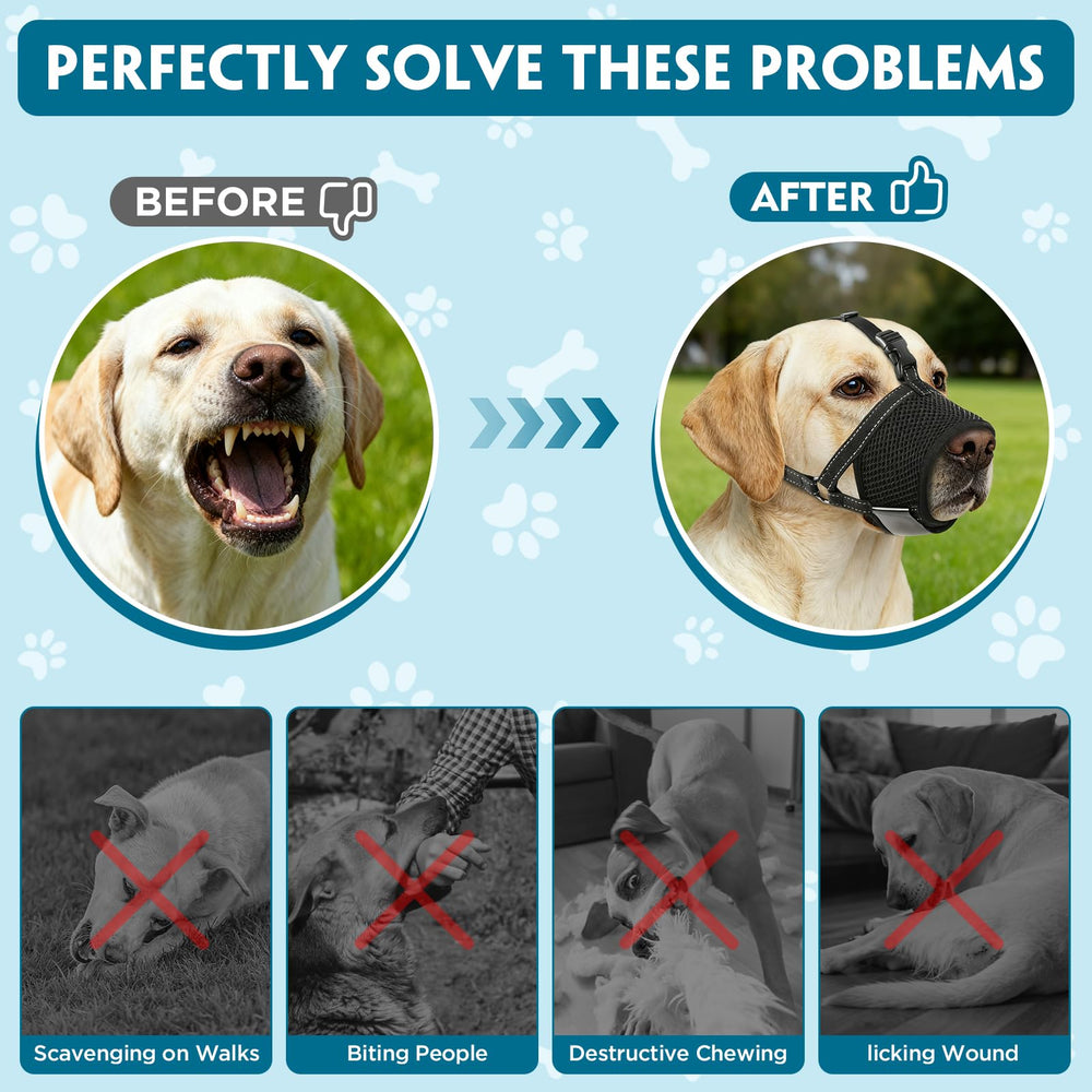 Grooming with SuplutuX muzzle facilitating safe nail trimming