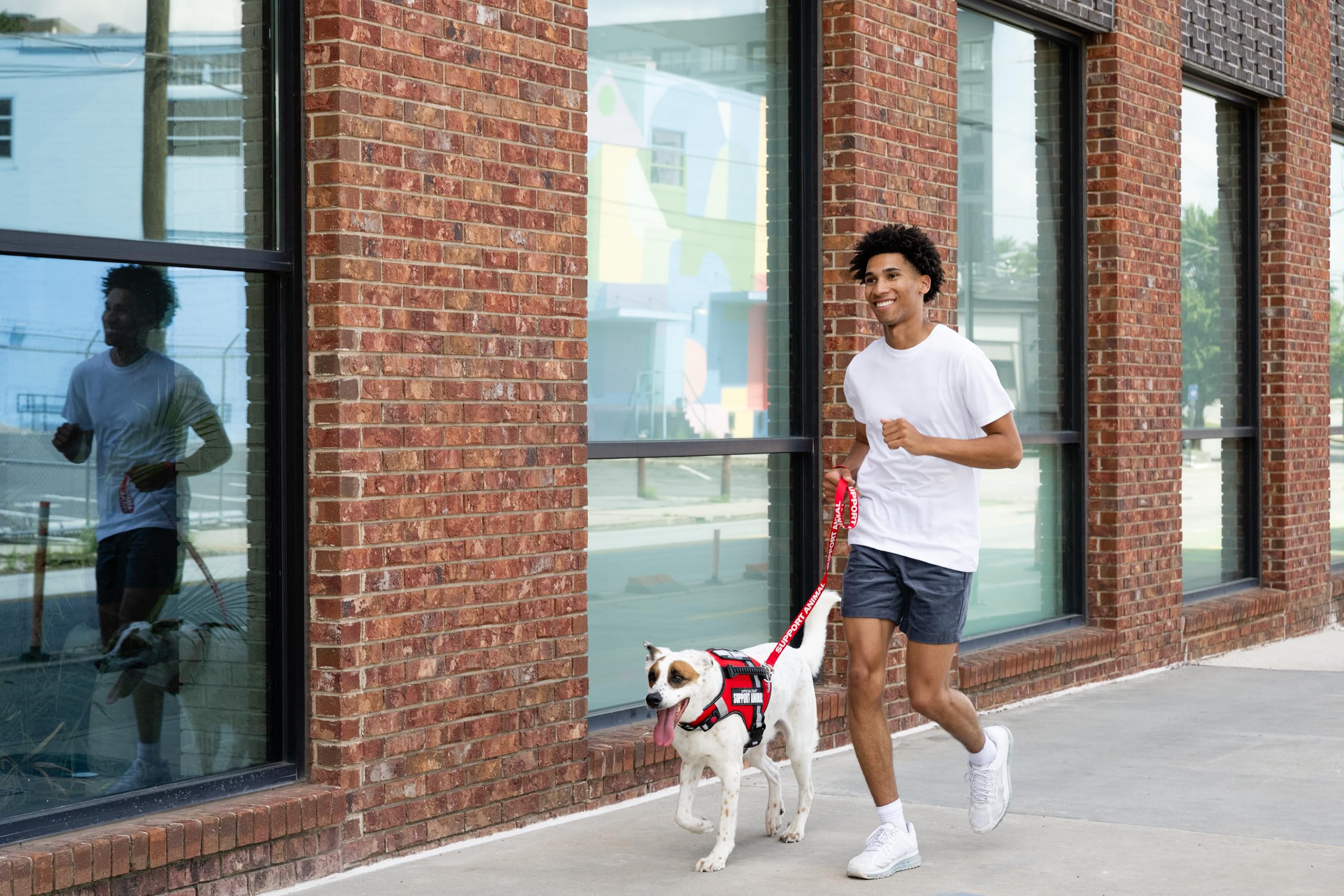 Support Pets heavy-duty nylon leash ensures durability during training and outdoor adventures.