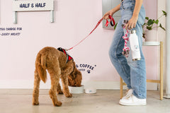 Support Pets ESA leash arrives ready to use for quick daily outings.