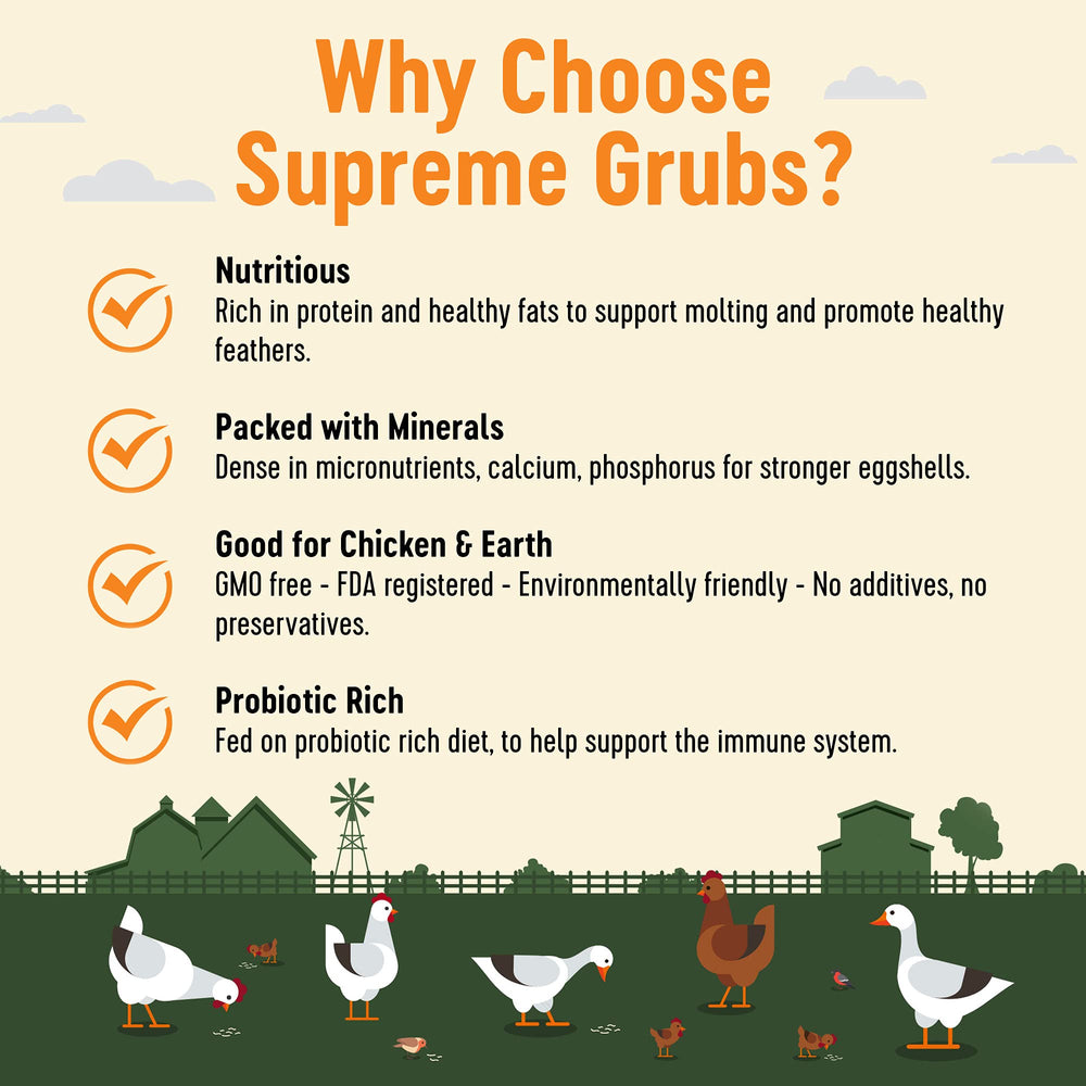 Supreme Grubs immune-support-for-flocks image; probiotic-rich formula for flock wellness