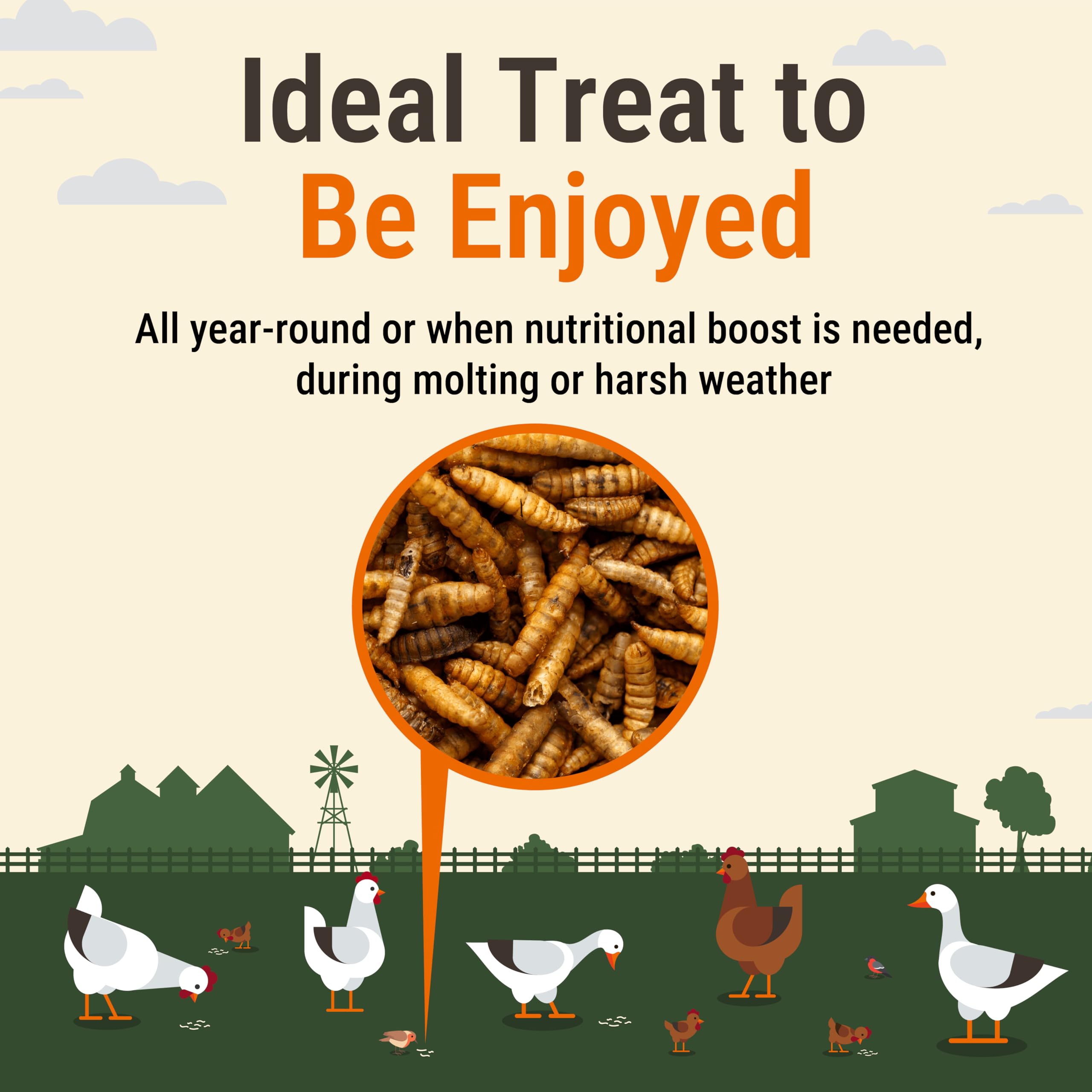 Supreme Grubs probiotic-rich bird-treat image; may support gut balance in flocks