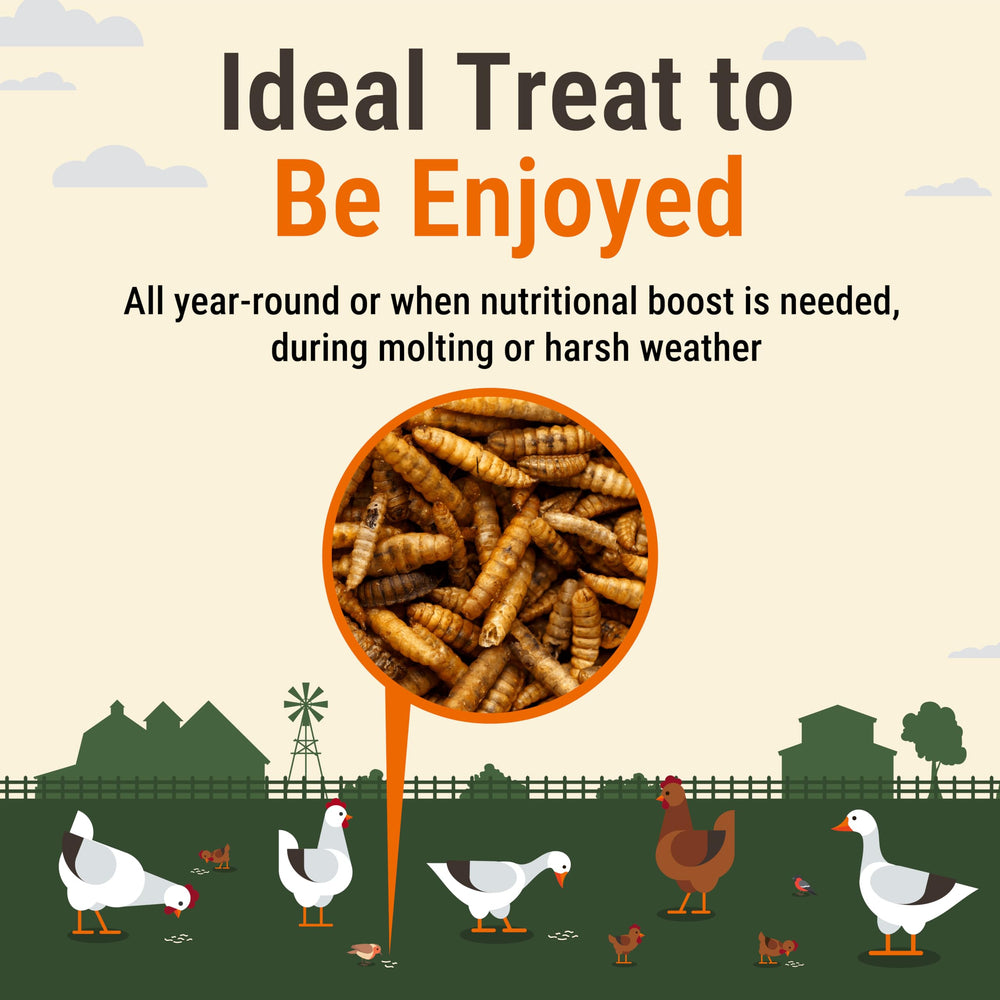 Supreme Grubs probiotic-rich bird-treat image; may support gut balance in flocks