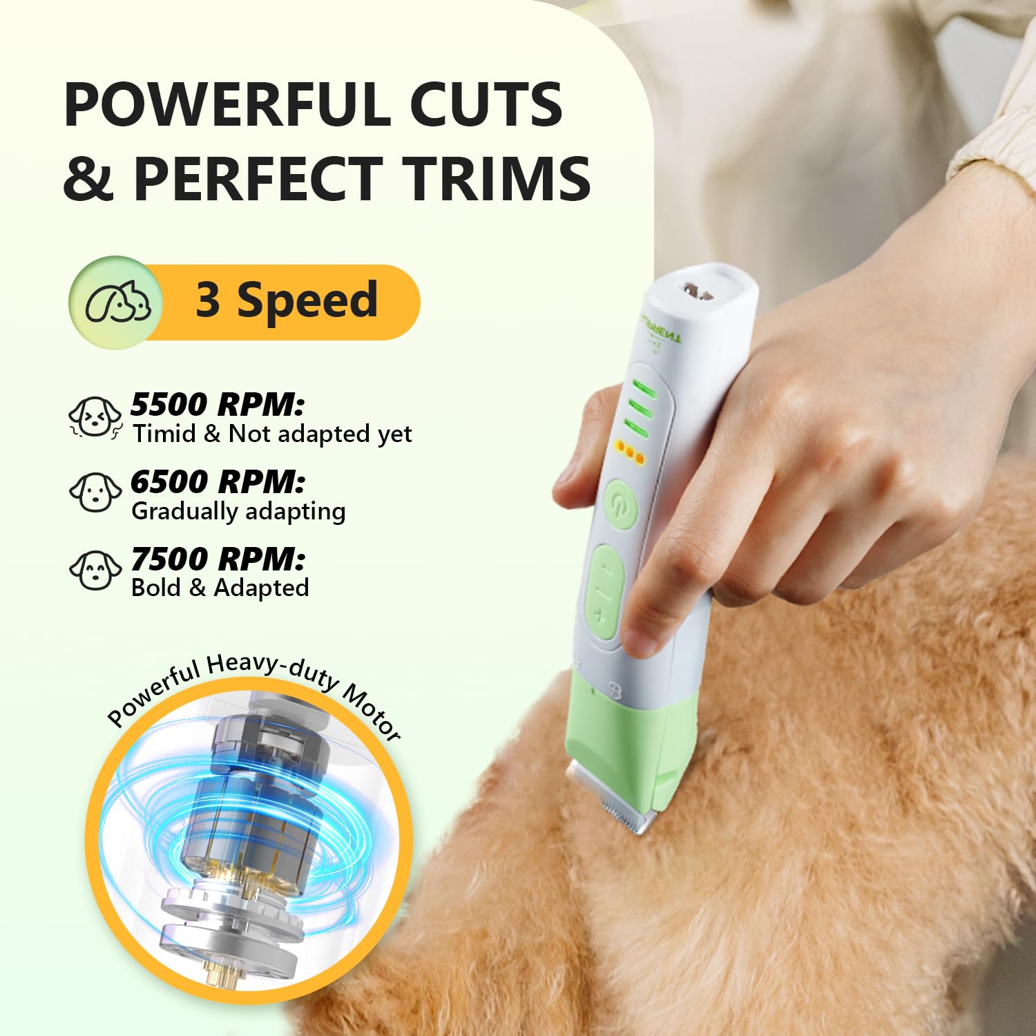 SUPRENT detachable heads for easy cleaning and quick tool changes