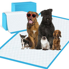 SUPRONLOVE pee pad 31x55 setup reduces leaks and protects floors.