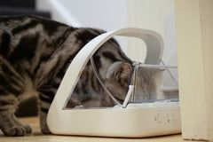 SureFlap SureFeed bowls set with mat for tidy mealtimes.