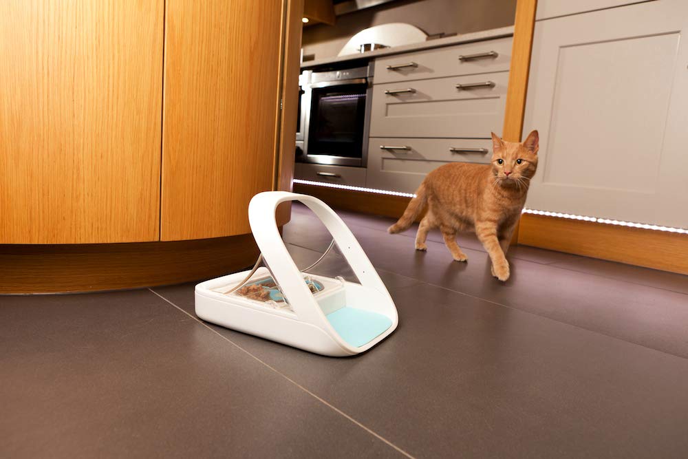 SureFlap SureFeed RFID collar tag enables automatic pet access.