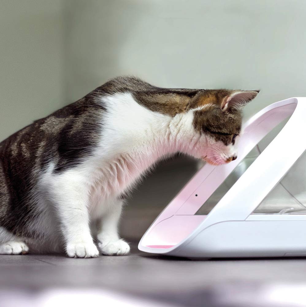 SureFlap SureFeed feeder dispensing the correct portion for a pet