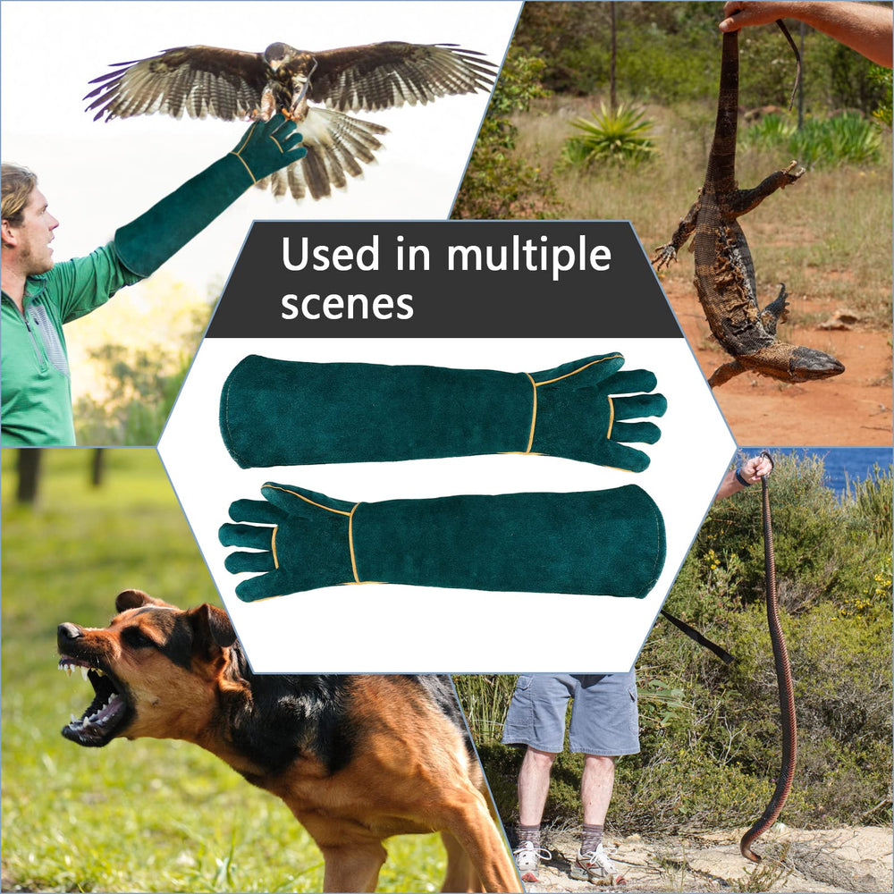 Surfante 40 inch collapsible snake hook for safe, contact-free snake handling.