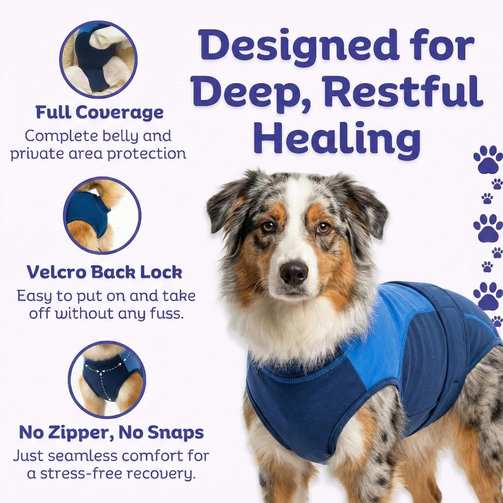 Surgi~Snuggly breathable stretch fabric keeps your dog comfortable overnight.