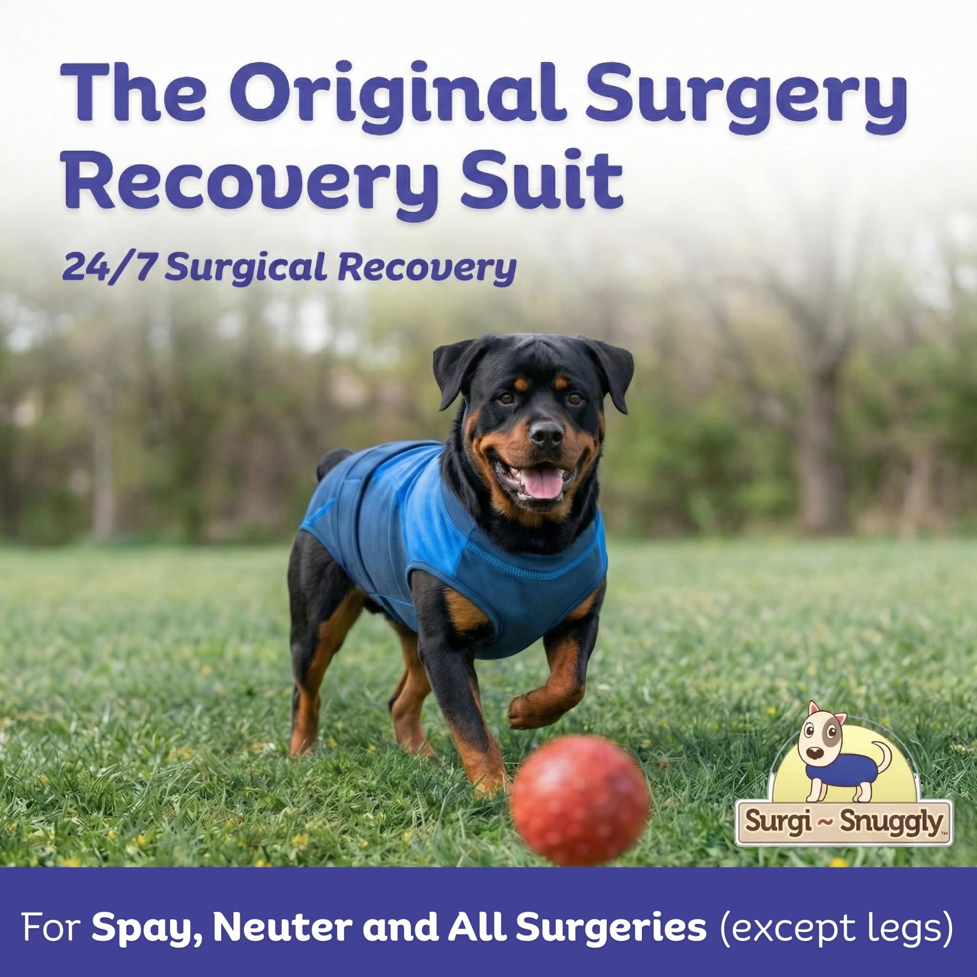 Surgi~Snuggly cone-alternative design for post-surgery protection