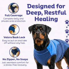 Surgi~Snuggly dog surgery suit side view highlighting flexibility and movement