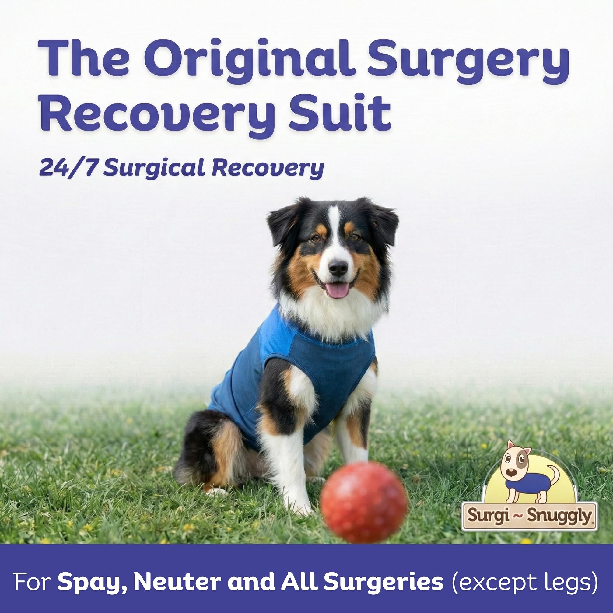 Surgi~Snuggly vet-designed protection from incisions during post-surgery recovery.