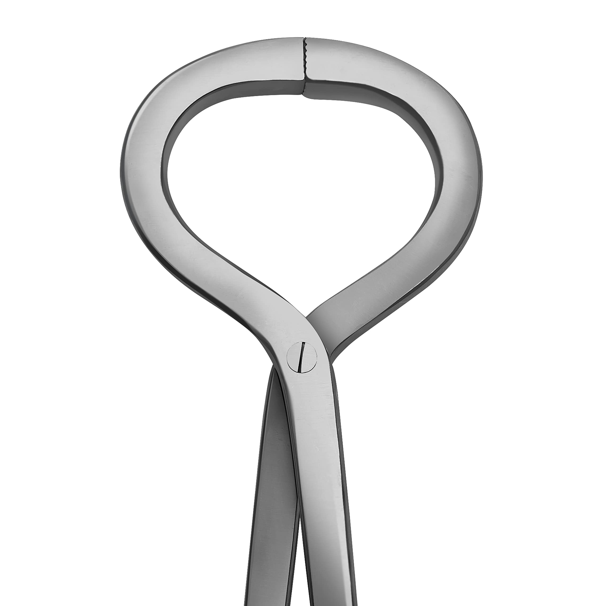 SURGICAL ONLINE ISO CE certified tool ensures safe equine testing and compliance.
