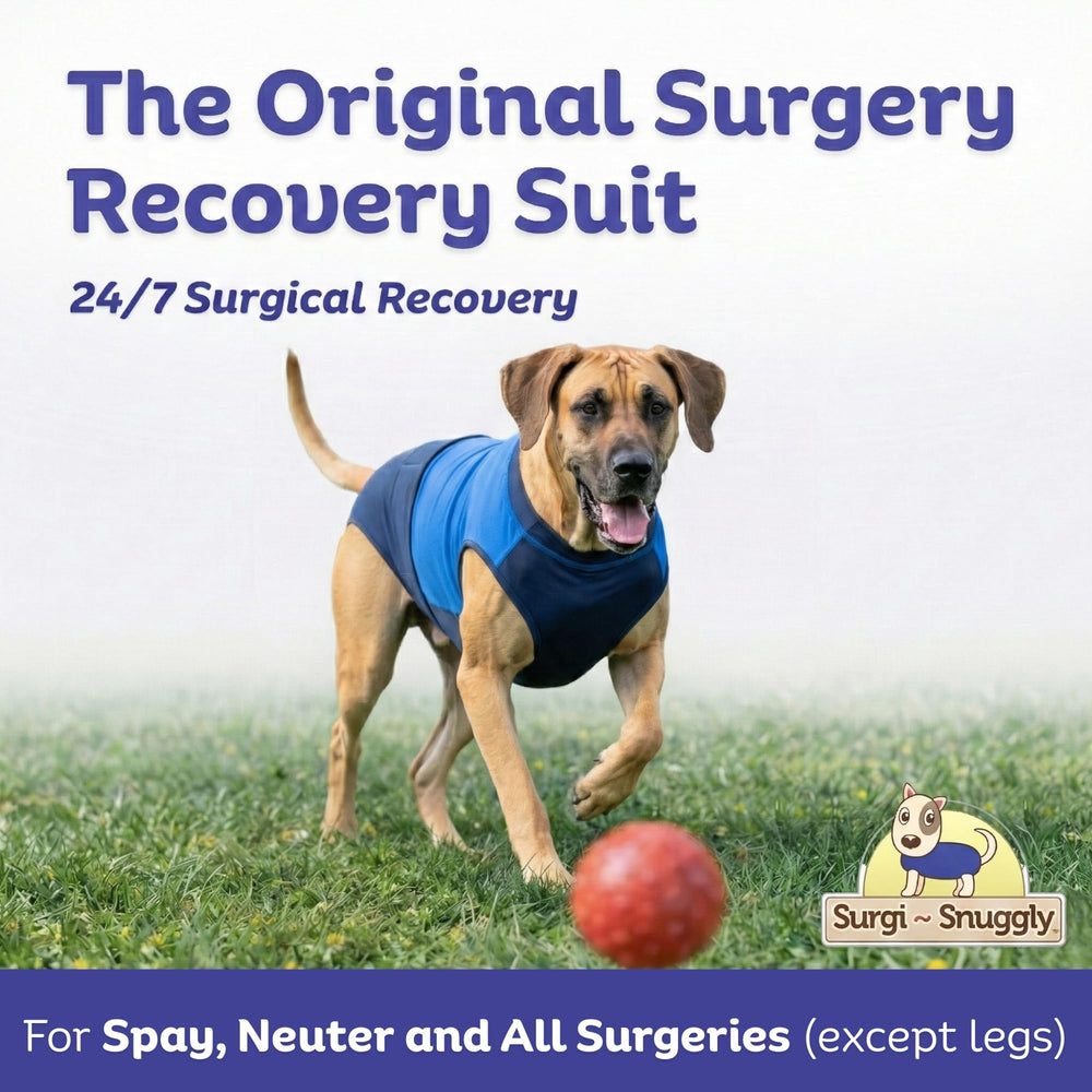 Surgi~Snuggly cone-alternative recovery suit protects incisions