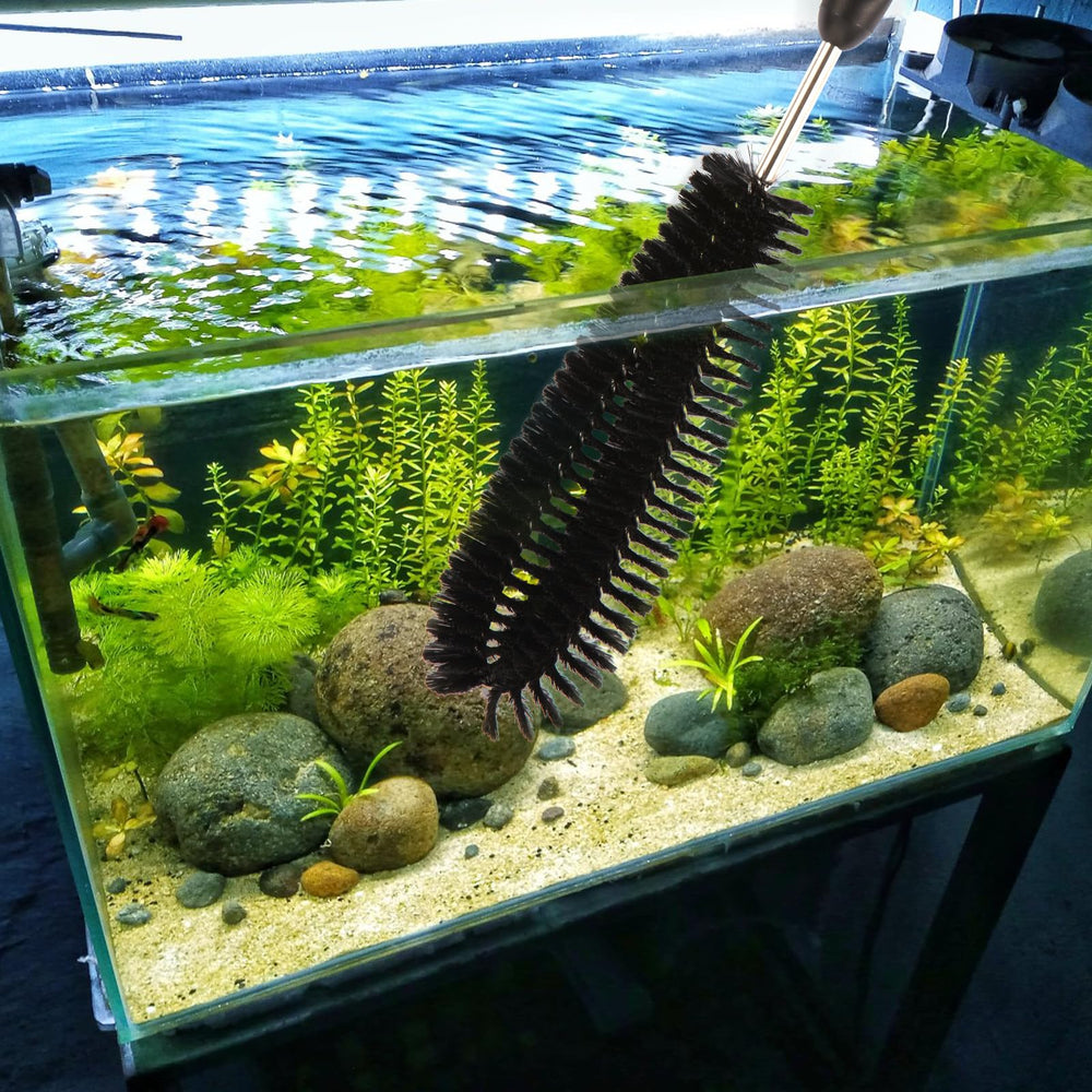 Suseg reach brush cleans deeper areas inside tanks.