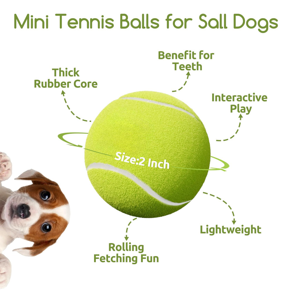 Susu & Wuwu 2-inch small dog tennis balls for joyful playtime.