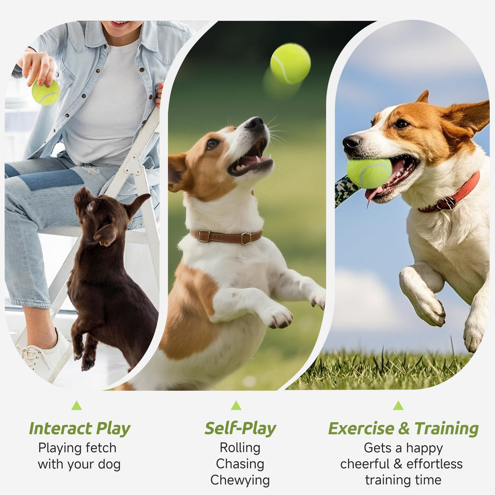 Susu & Wuwu bright-colored dog tennis balls for easy spotting.