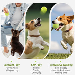 Susu & Wuwu bright-colored dog tennis balls for easy spotting.