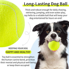 Susu & Wuwu bright-colored tennis ball, easy to spot during backyard games.