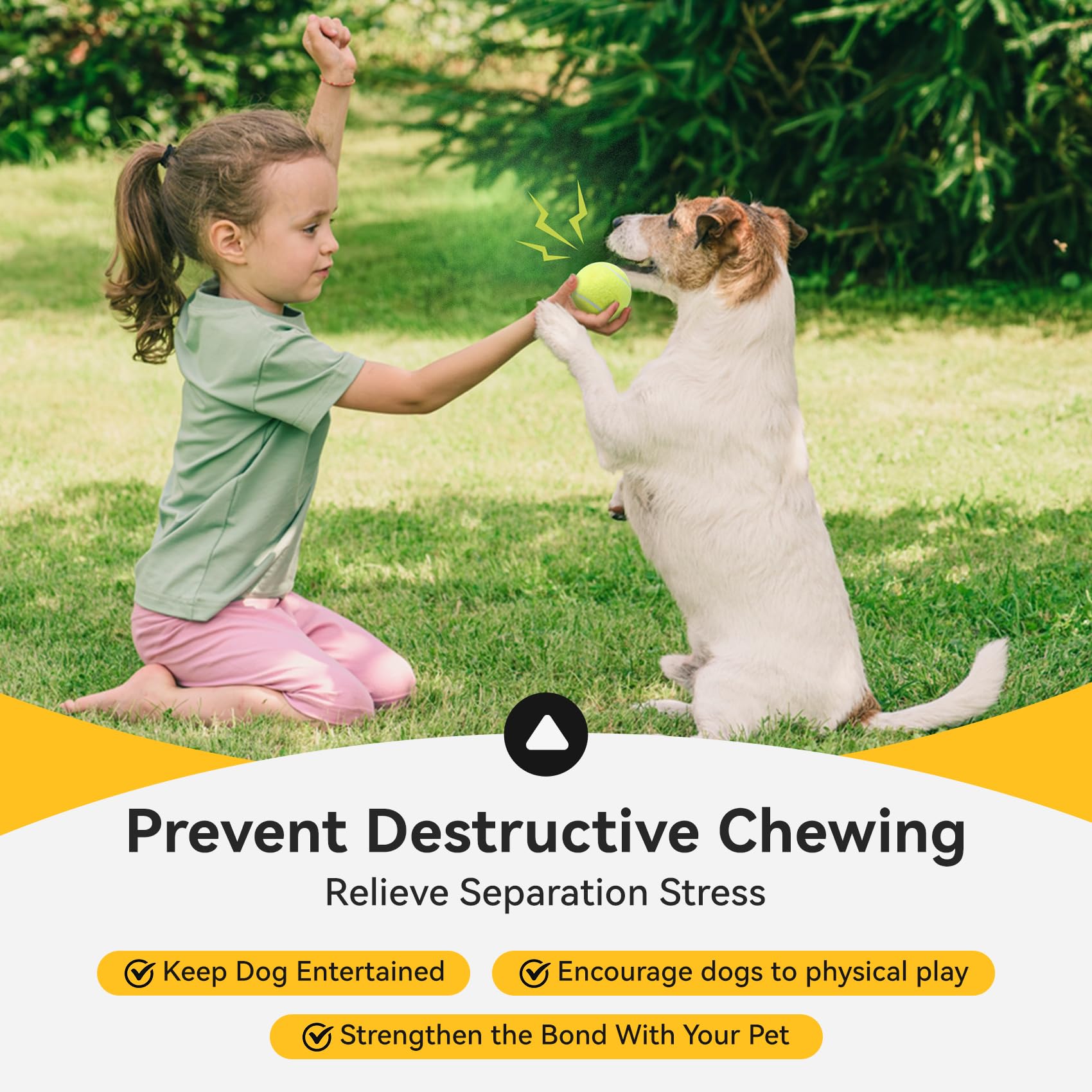Susu and Wuwu durable rubber squeaky ball built to withstand daily play.