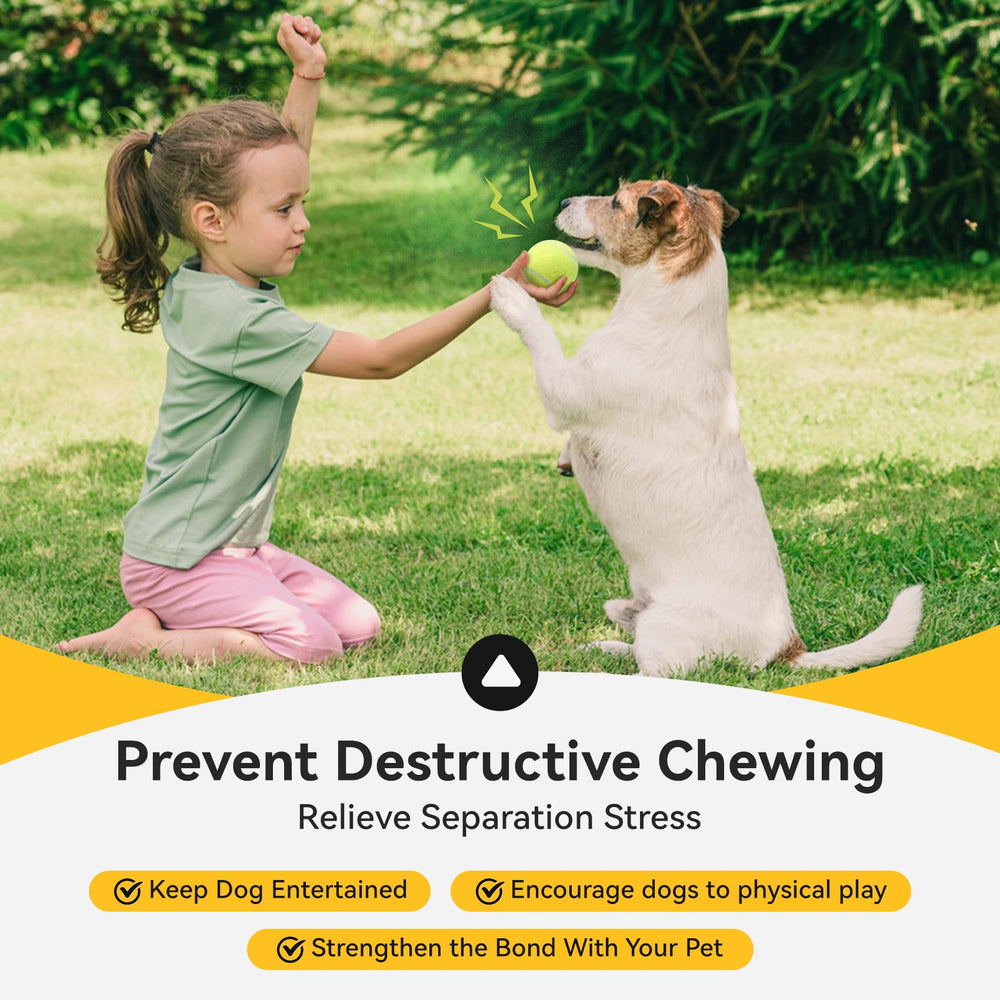 Susu and Wuwu durable rubber squeaky ball built to withstand daily play.