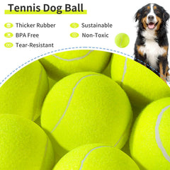 Susu & Wuwu dog toy for outdoor play, bright colors attract attention.