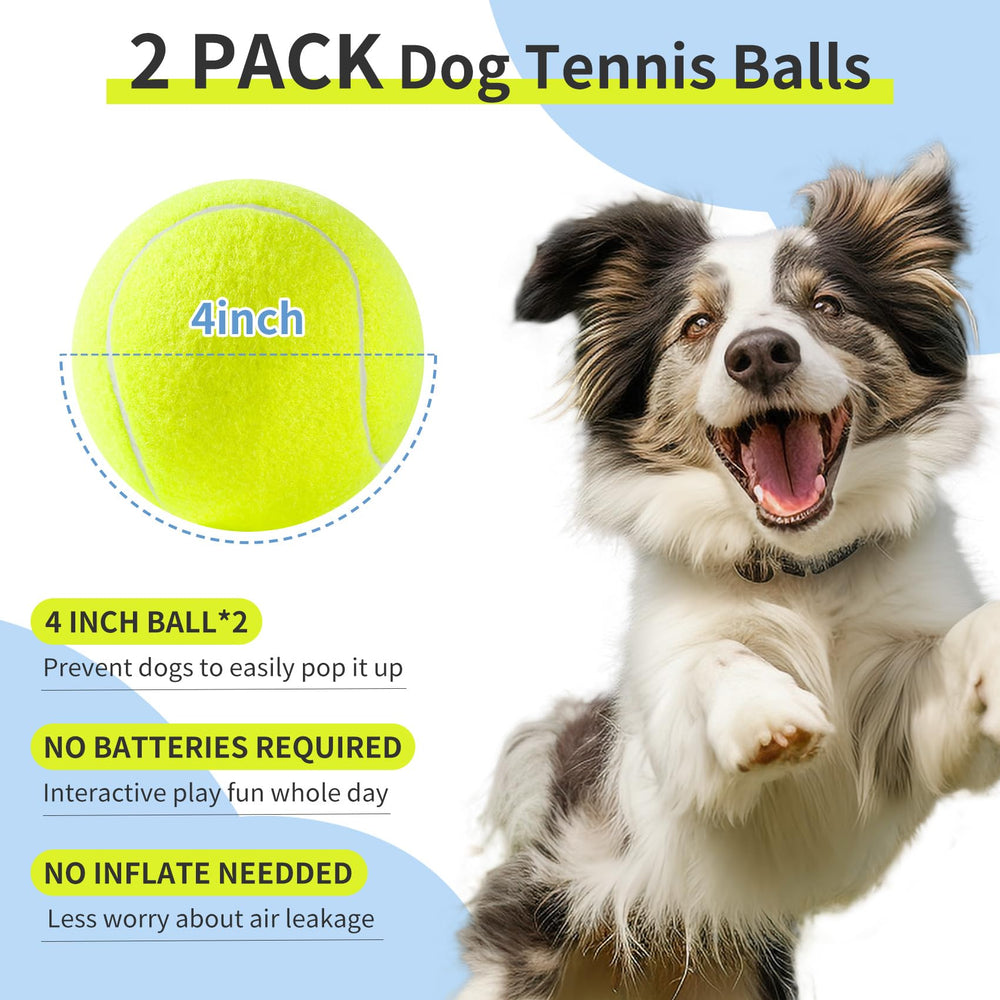 Susu & Wuwu indoor-outdoor dog play ball, versatile for parks and home.