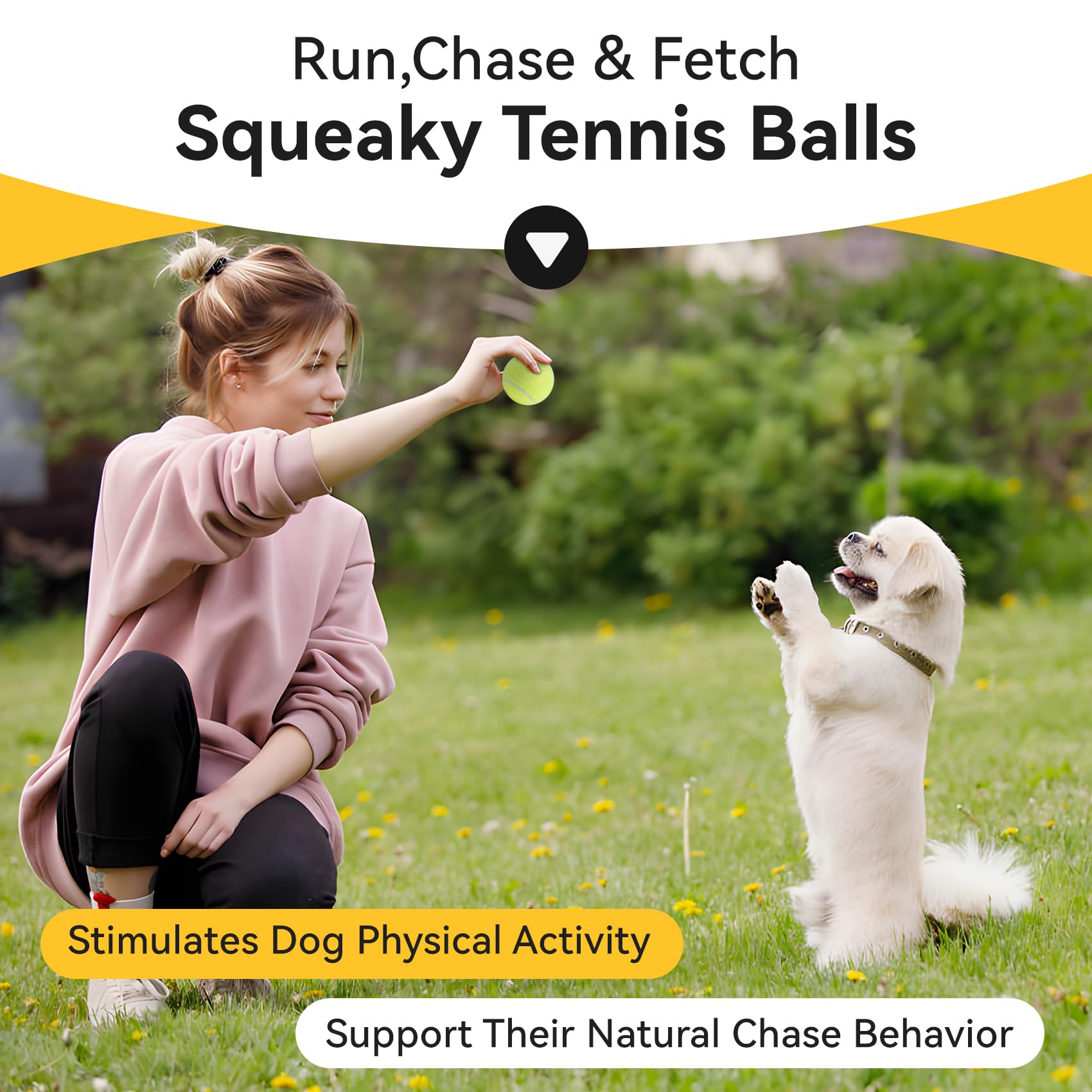 Susu and Wuwu 12-pack squeaky balls great for multi-dog homes.