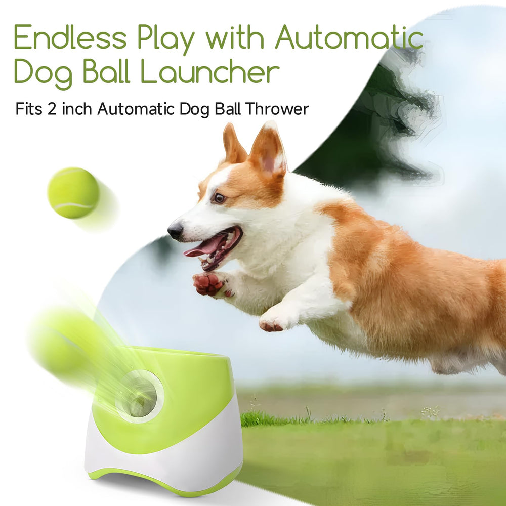Susu & Wuwu packaged dog toy set for bundled fetch fun.