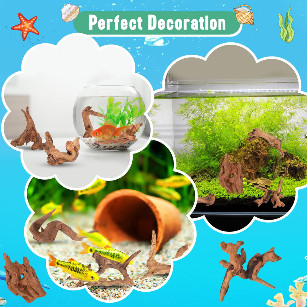 Suzile reef-inspired driftwood suitable for reptile habitats and terrariums, blending natural aesthetics.