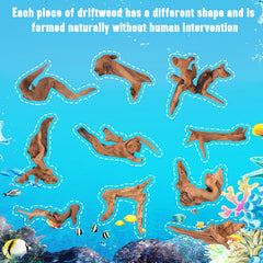 Suzile driftwood aquarium decor offers robust material for long-lasting underwater or dry setups.