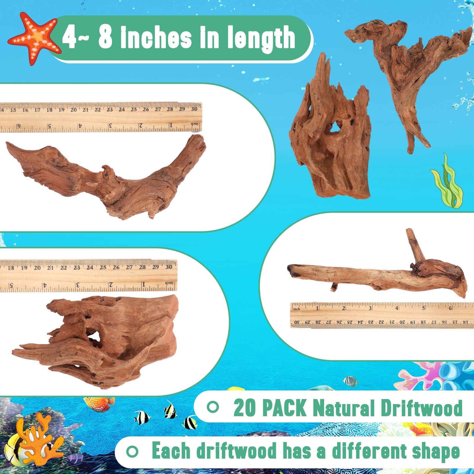 Suzile natural coral driftwood varied shapes adds dynamic scenery to terrarium and tank.