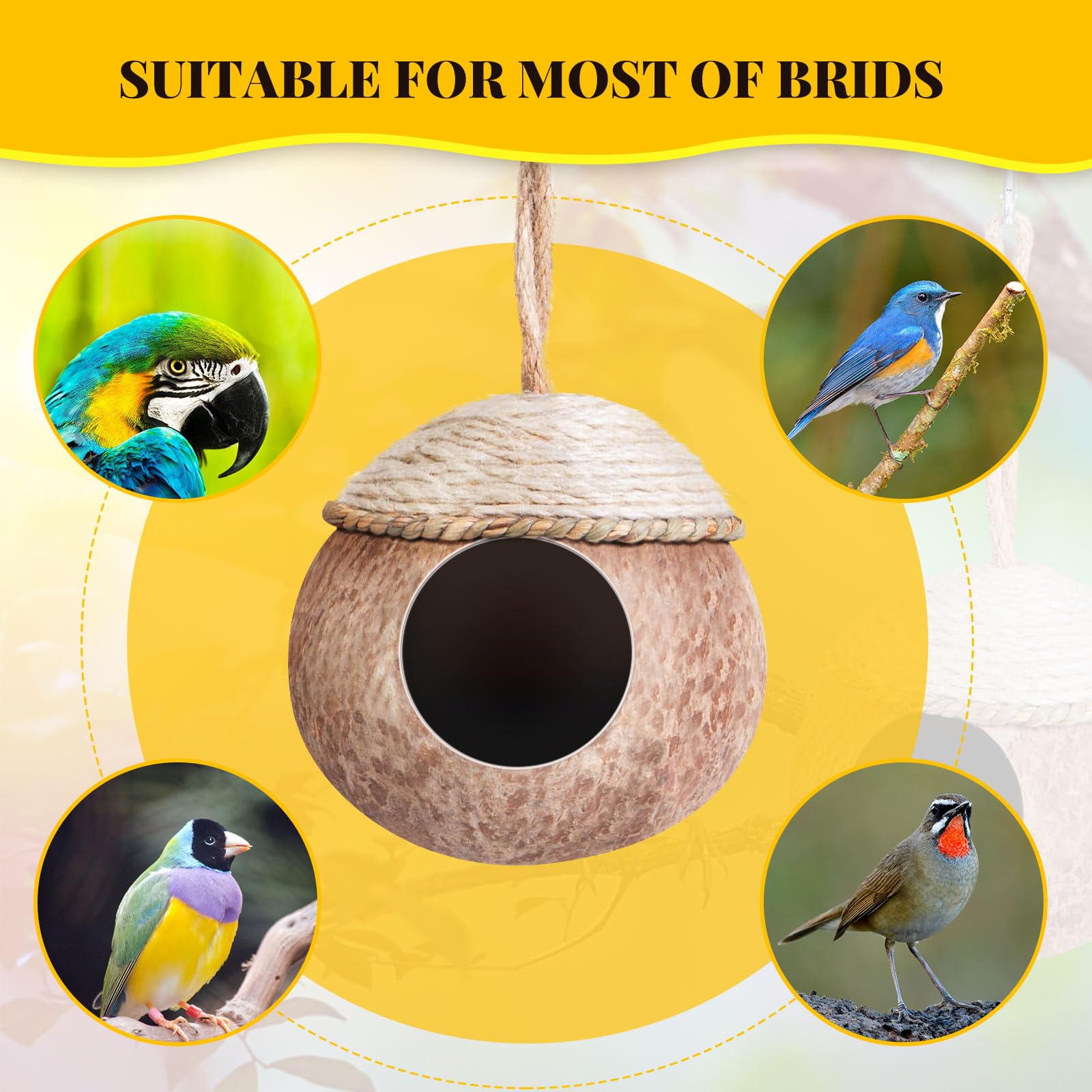Suzile 3-pack nest, ideal for replacing worn nests across multiple cages.