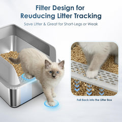 Suzzipaws litter box front entry highlighting low doorway for kittens.