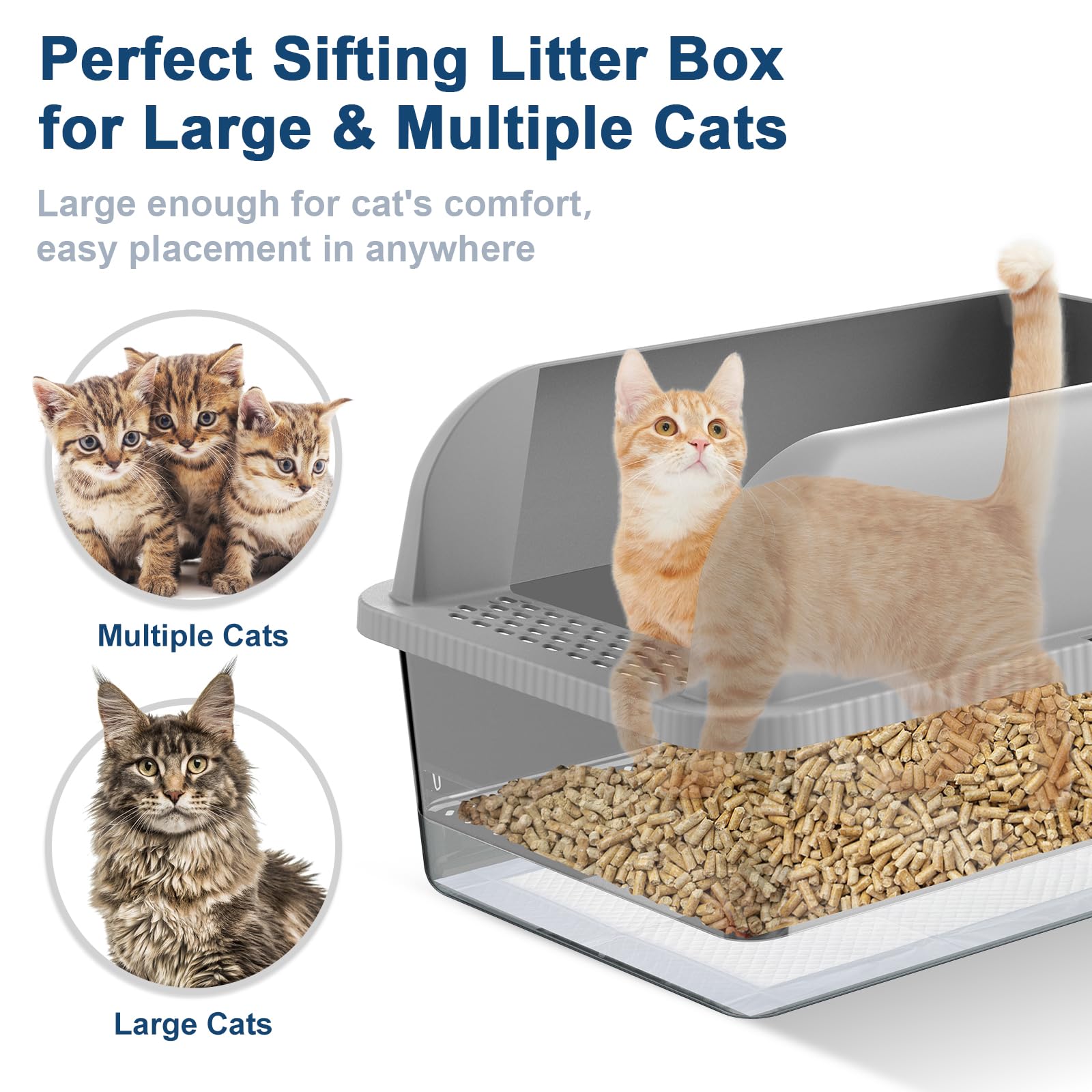 Kitted with two pans, scoop, absorbent pads, and liners for easy setup.