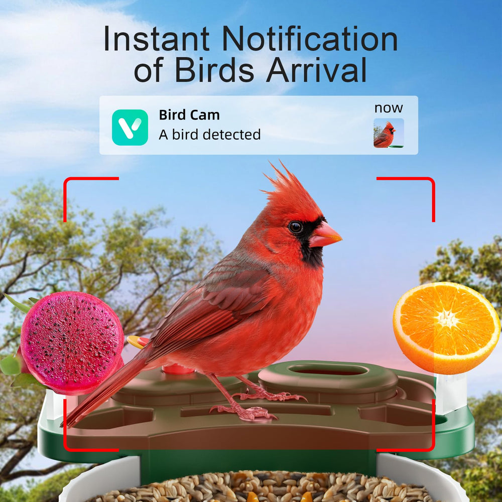 SV3C Bird Feeder AI identifies 11000+ bird species for learning