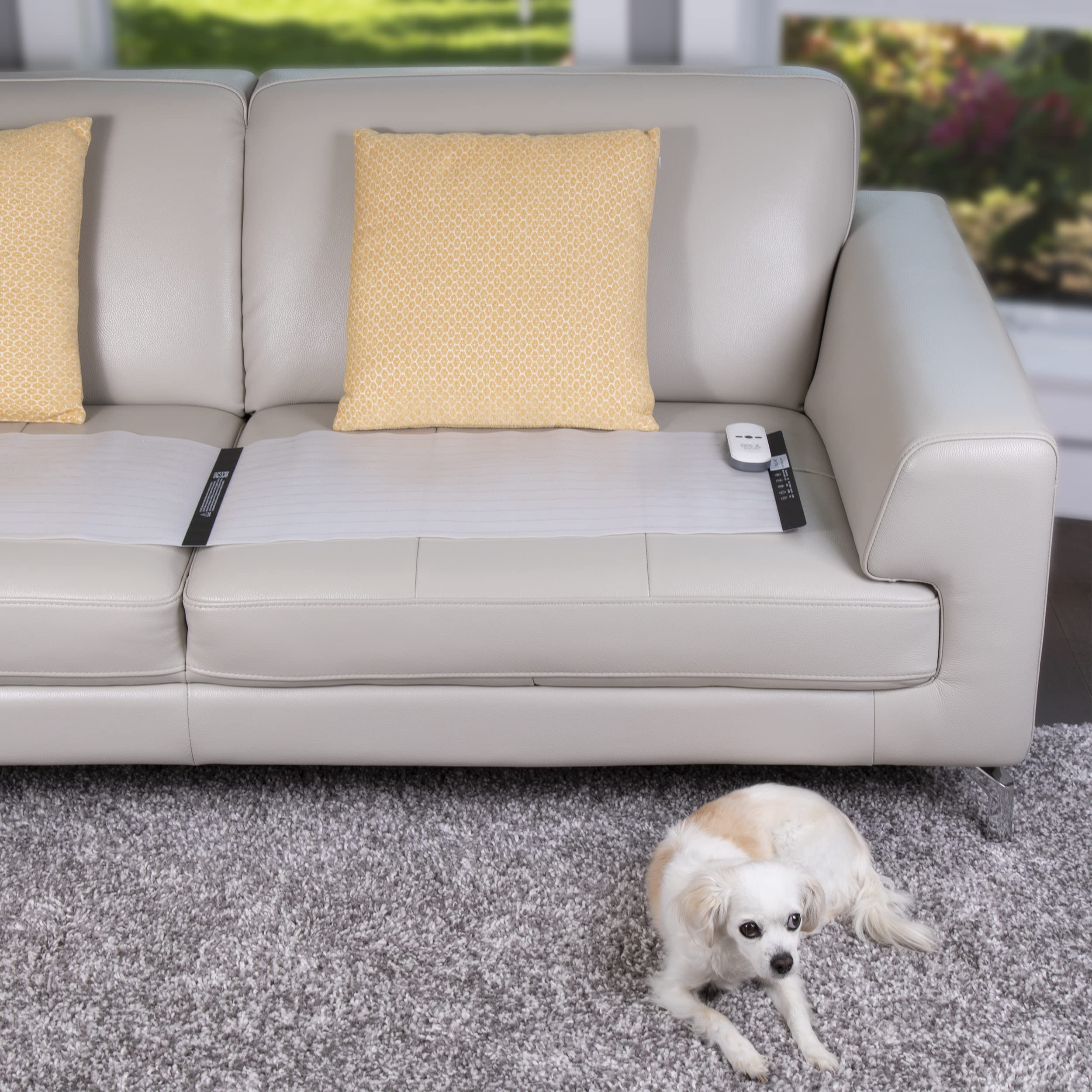 SVD.PET Indoor dual-mats setup demonstrating furniture boundary training.
