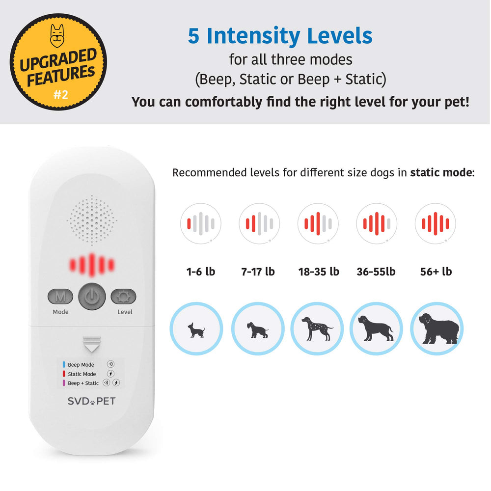 SVD.PET Static and Beep mode training illustration for layered guidance.
