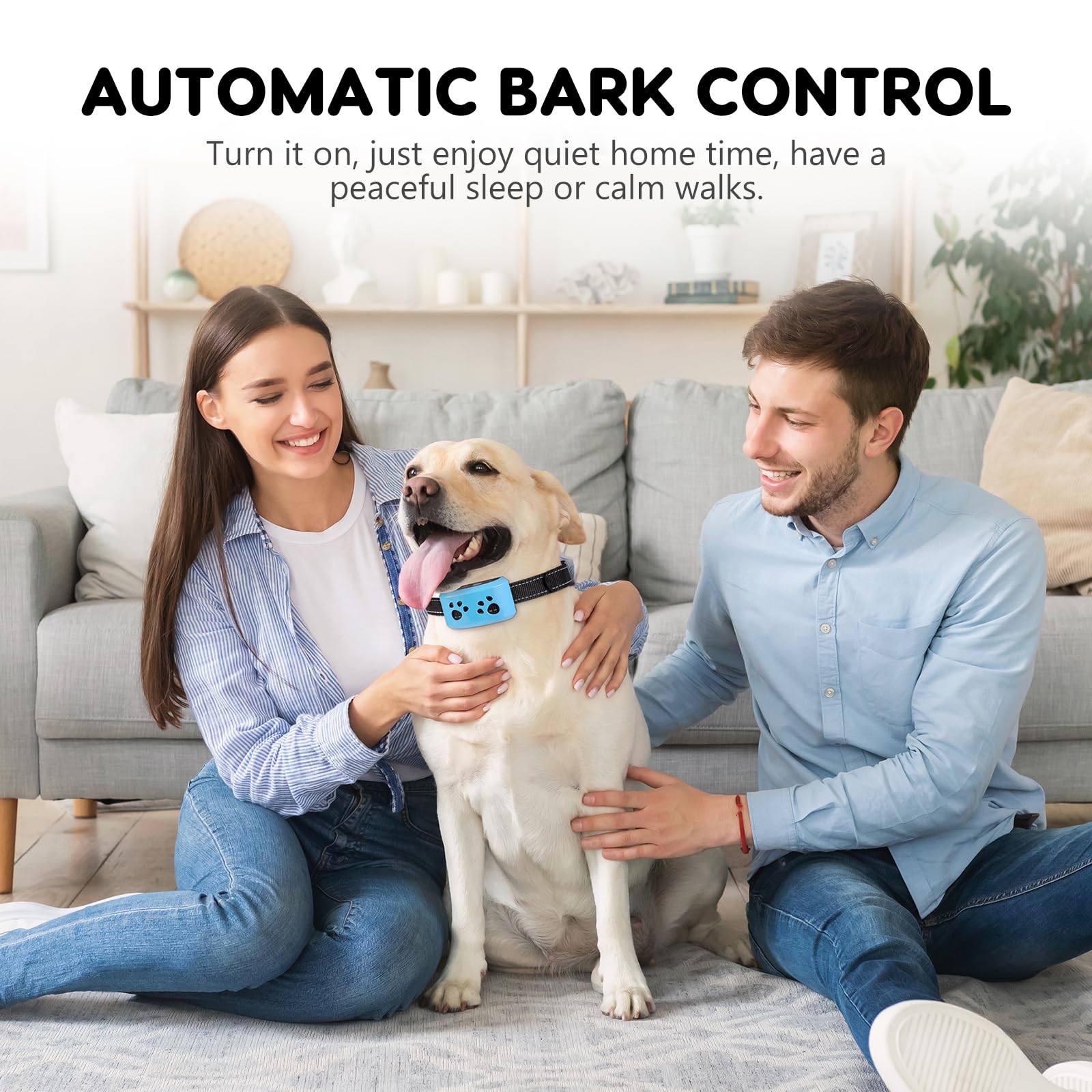 Graphic showing Svtrat bark collar training modes for behavior guidance