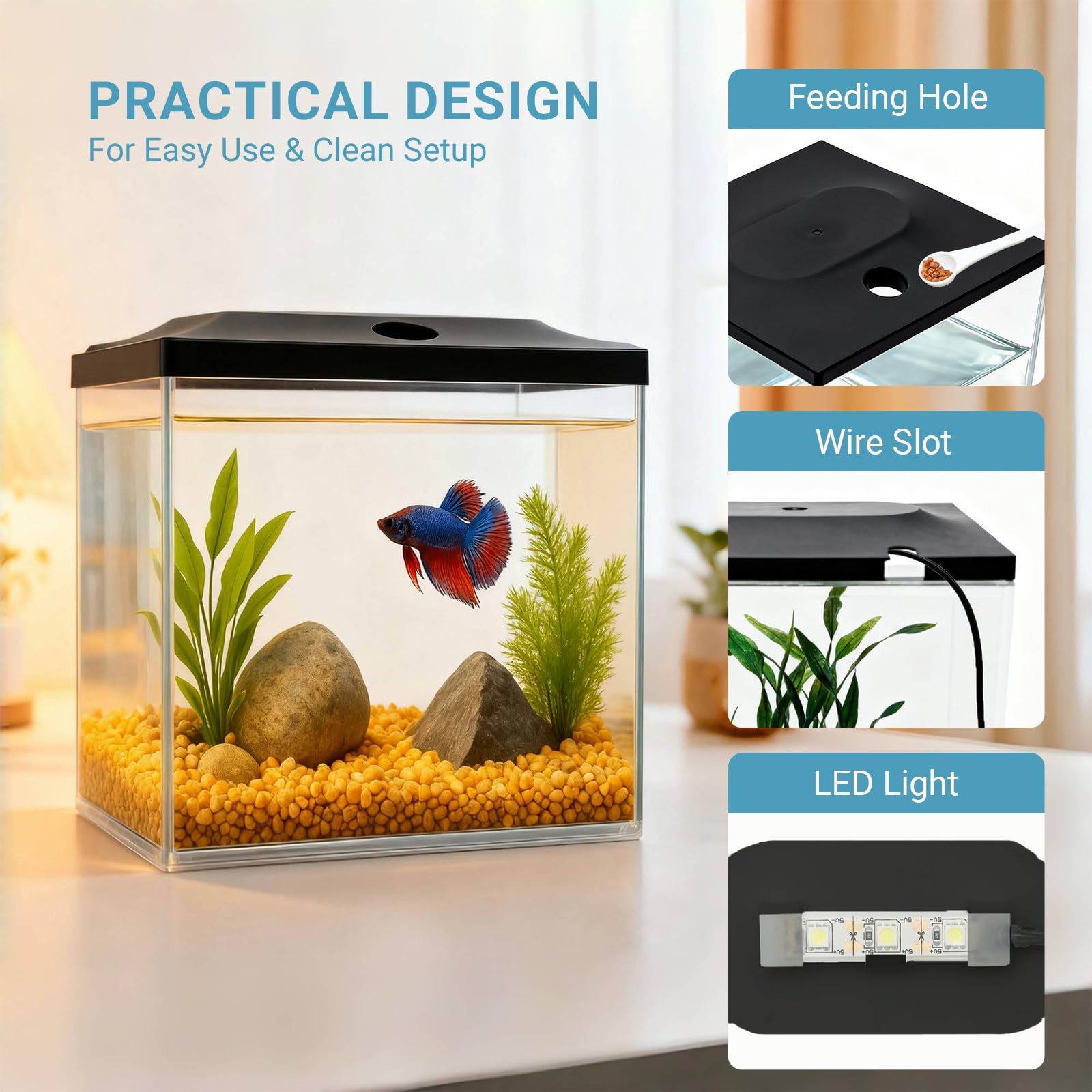 SW PRODUCTS 0.8-Gallon Cube Tank with LED lighting brightens a small aquatic display.