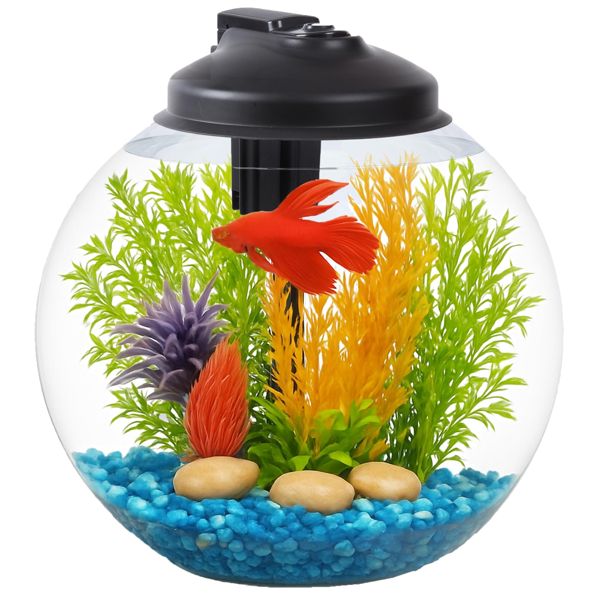 SW PRODUCTS 3-Gallon Tank with hood and LED light for compact desktop viewing