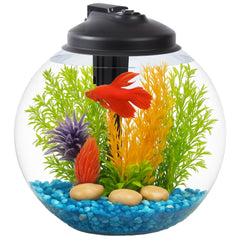 SW PRODUCTS 3-Gallon Tank with hood and LED light for compact desktop viewing