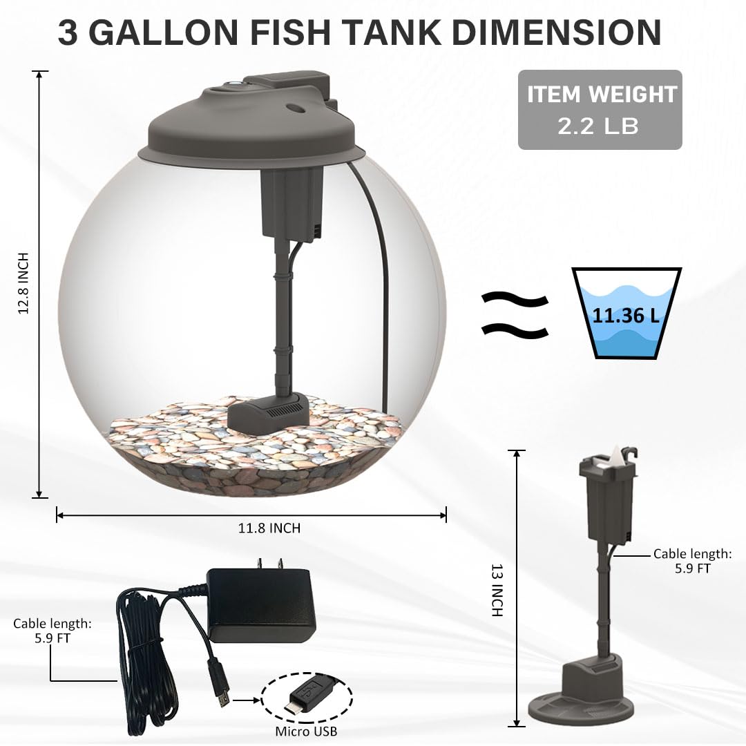 SW PRODUCTS betta and tropical fish friendly aquarium for beginners