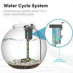 SW PRODUCTS desktop aquarium setup for a stylish space-saving fish habitat