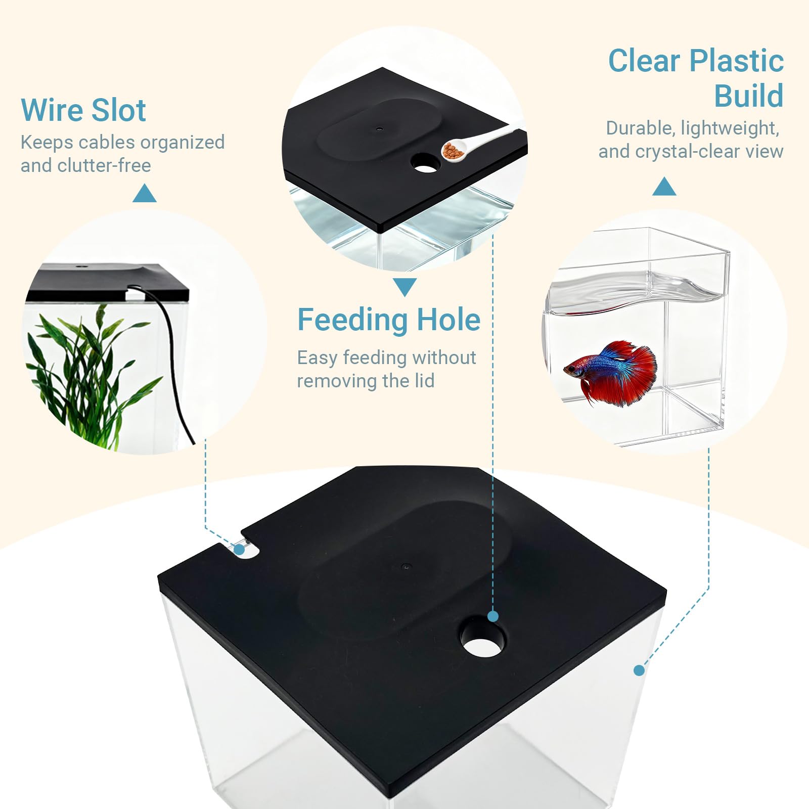 SW PRODUCTS educational starter tank scene highlights kid-friendly learning in classrooms.