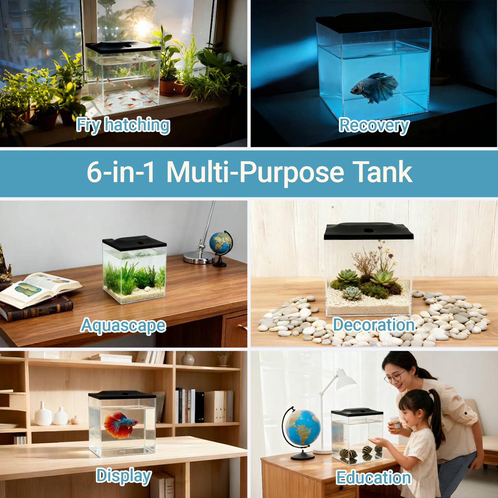 SW PRODUCTS mini aquascape in cube tank demonstrates micro-planting and decor ideas.